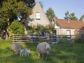 Buitenaanzicht Beppe van Ameland Buitenaanzicht Beppe van Ameland
